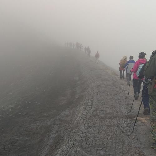 Photo #4255173