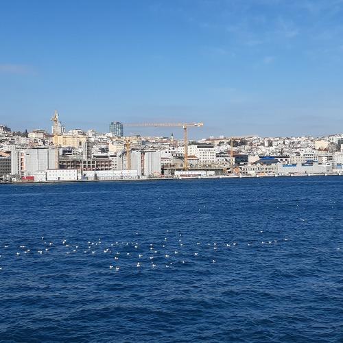 Photo #4255177
