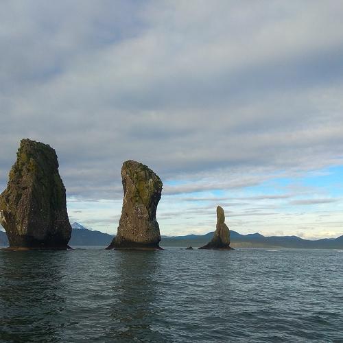 Photo #4255267