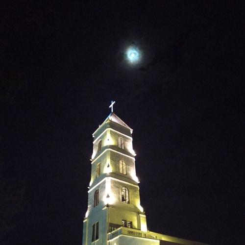 Photo #4255295