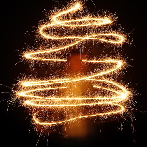 Photo #4255505