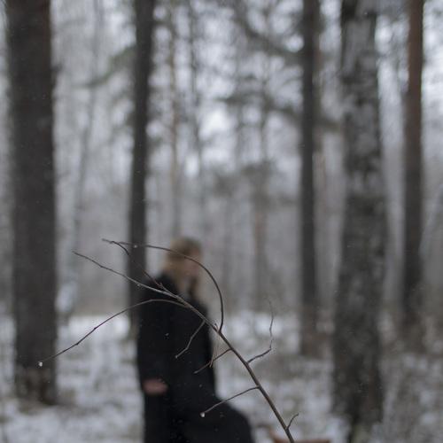 Photo #4255532