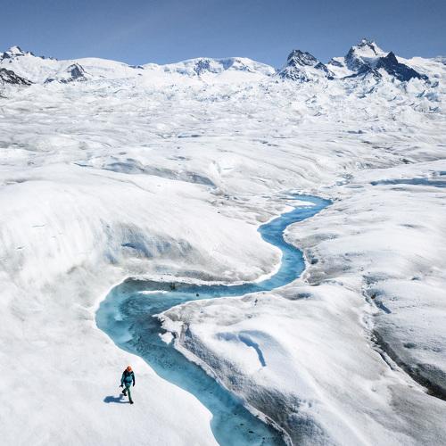 Photo #4255659