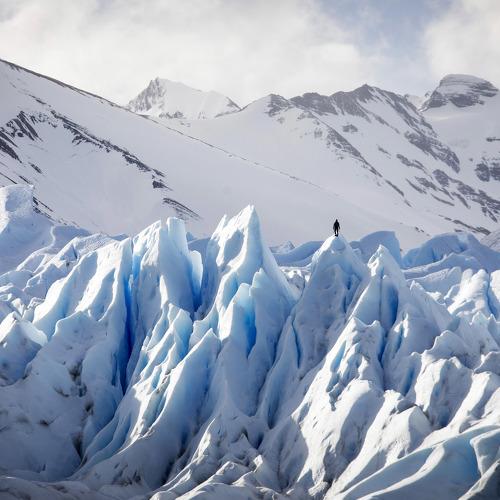 Photo #4255660