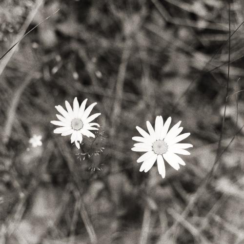 Photo #4255842