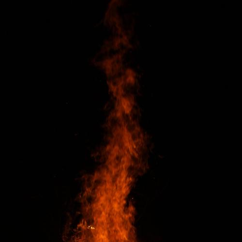 Photo #4256220