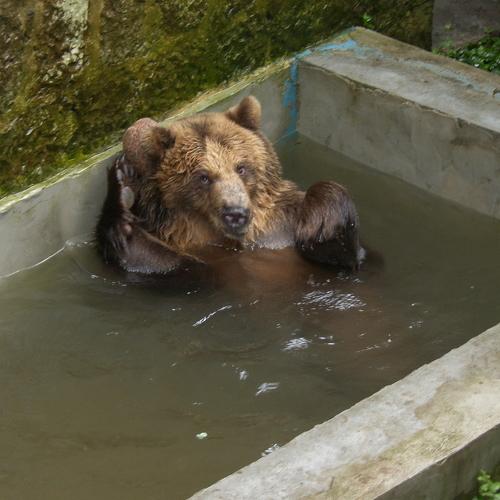 Photo #4256264
