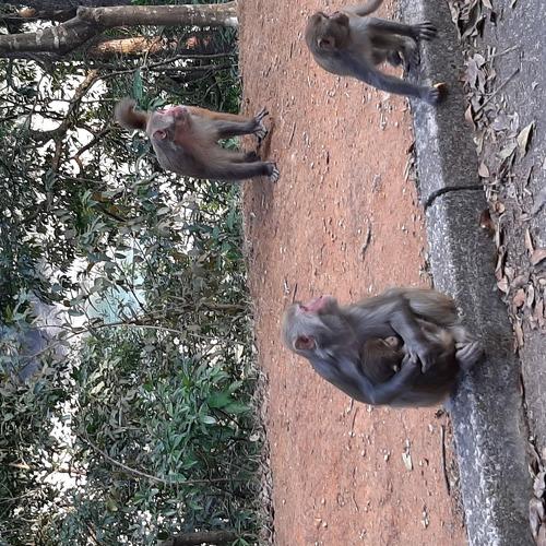 Photo #4256574