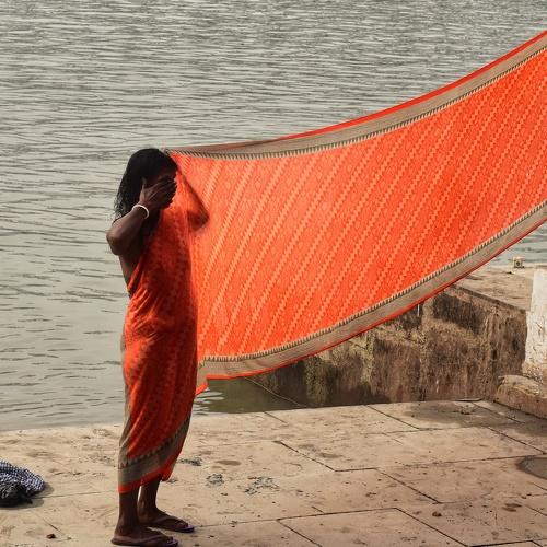 Photo #4256692
