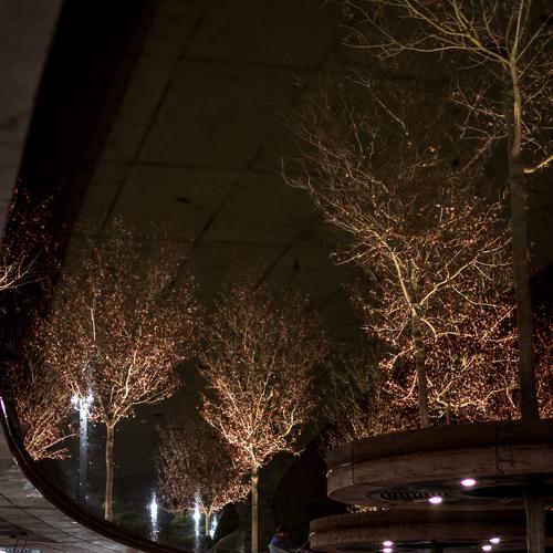 Photo #4256807