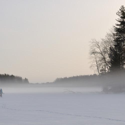 Photo #4257072