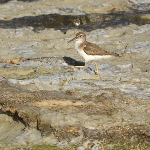 Photo #4257140