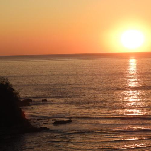 Photo #4257141