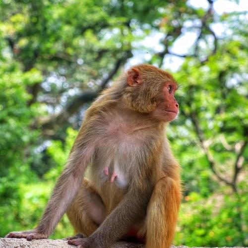 Photo #4257408