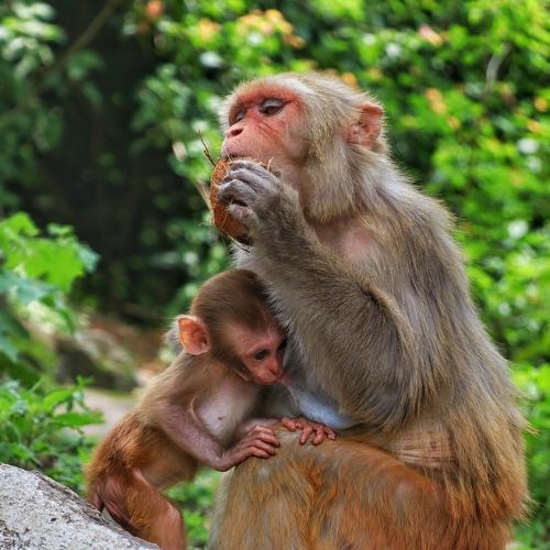 Photo #4257462