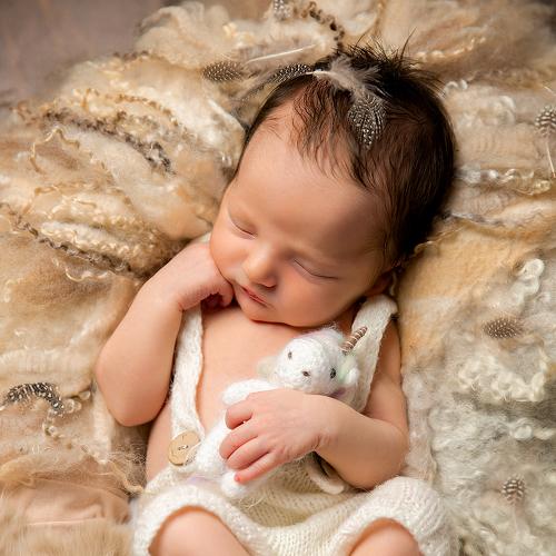 Фотография #4257482