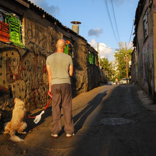 Photo #4257652