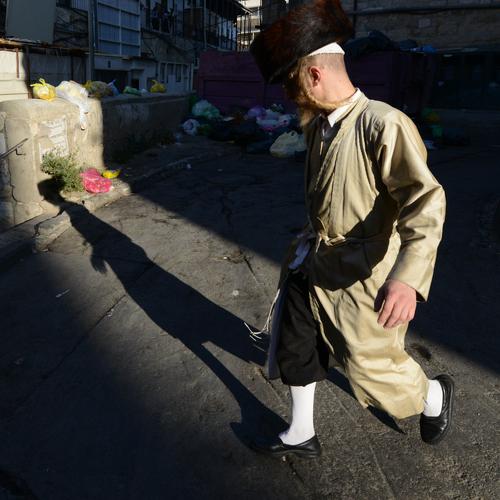 Photo #4257668