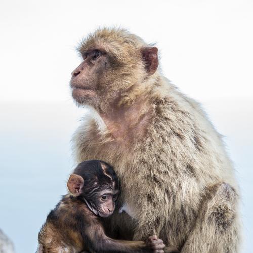 Photo #4257789