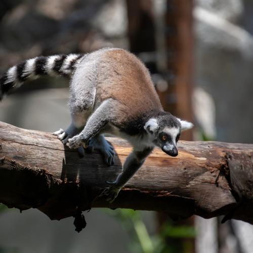 Photo #4257807
