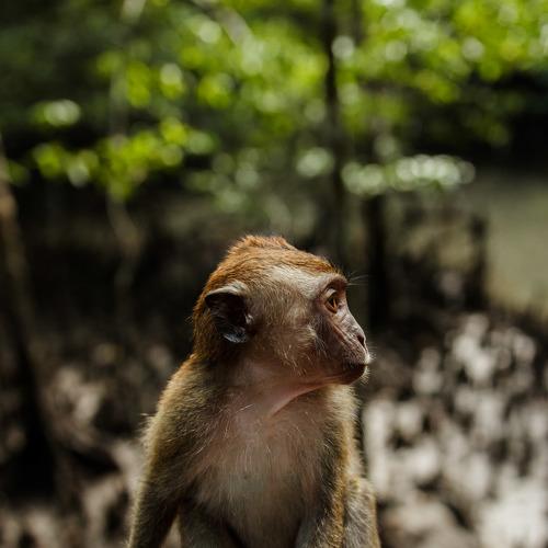 Photo #4257853
