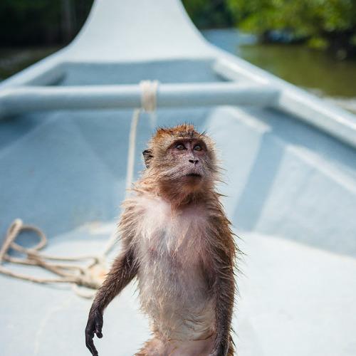 Photo #4257858