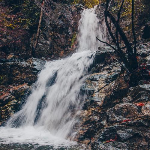 Photo #4257975