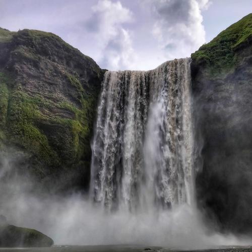 Photo #4258136
