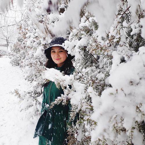 Photo #4258176