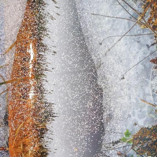 Photo #4258480
