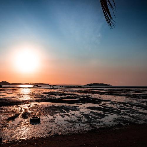 Photo #4258626