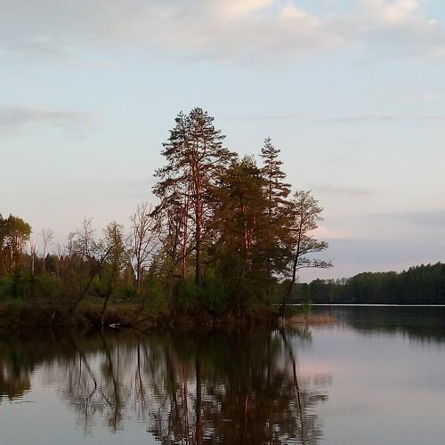 Photo #4258931