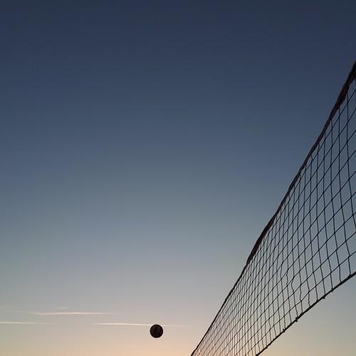 Photo #4259169