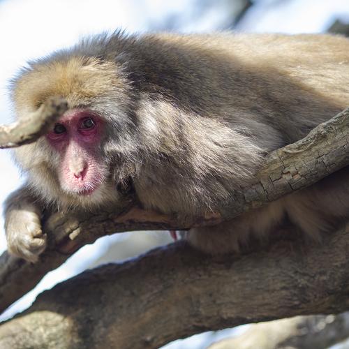 Photo #4259735