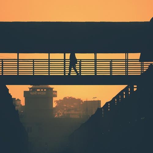 Photo #4259767