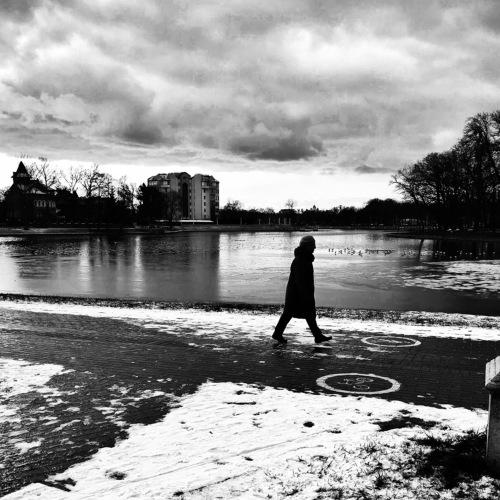 Photo #4260110