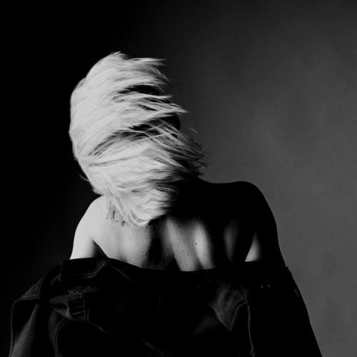 Photo #4261100