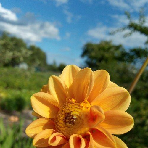 Photo #4261172