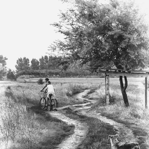 Photo #4262320