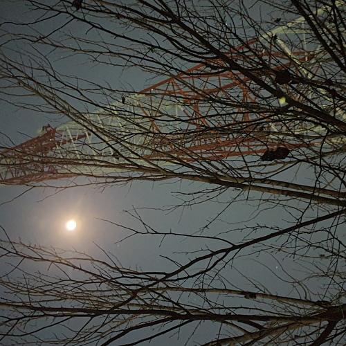 Photo #4262532