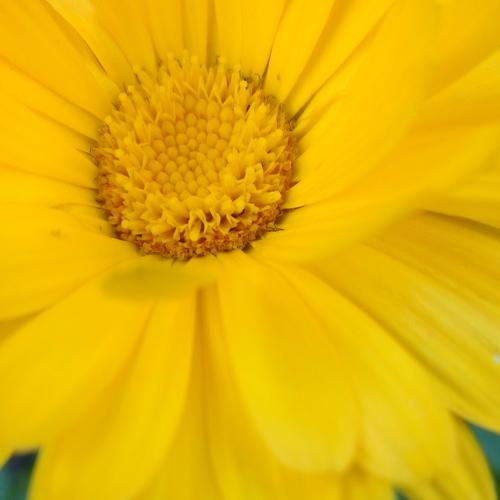 Photo #4263141