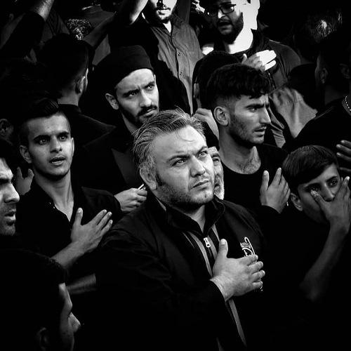 Photo #4263211