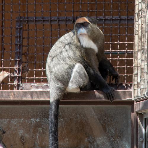 Photo #4263346