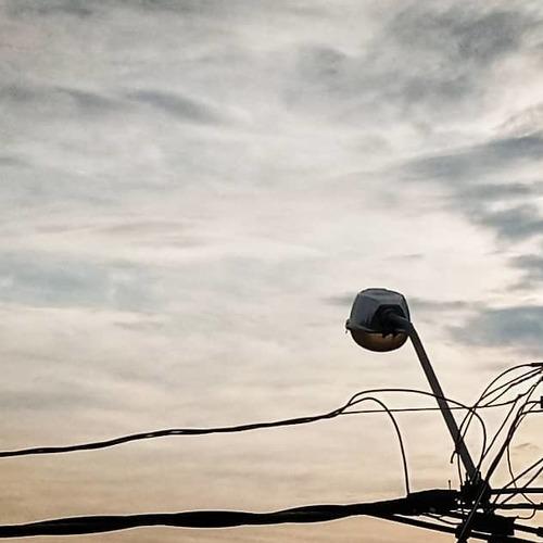 Photo #4263598