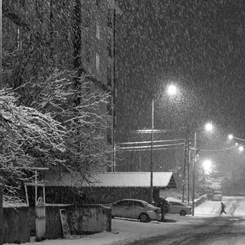 Photo #4263658