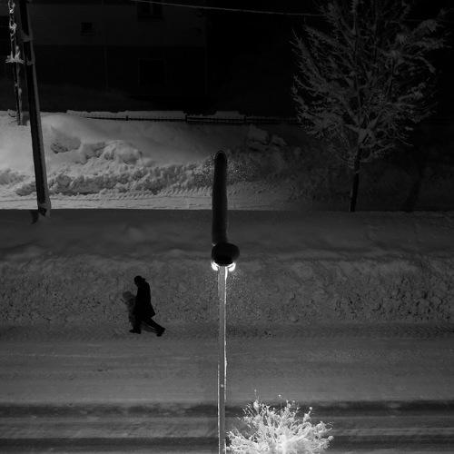 Photo #4263661