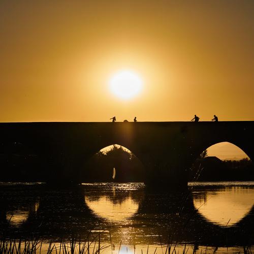 Photo #4263675