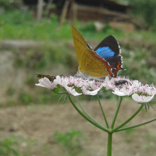 Photo #4263799