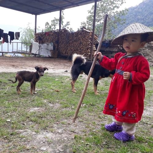 Photo #4263807