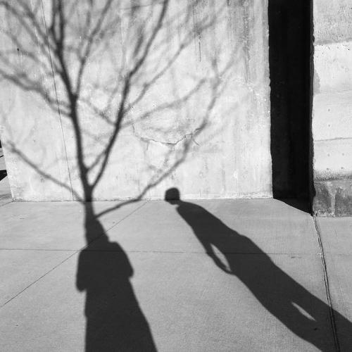Photo #4263919